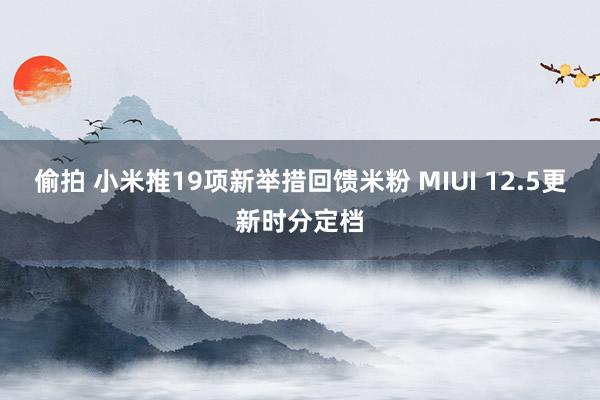 偷拍 小米推19项新举措回馈米粉 MIUI 12.5更新时分定档