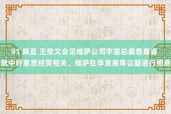 91 麻豆 王受文会见维萨公司宇宙总裁詹嘉睿 就中好意思经贸相关、维萨在华发展等议题进行相易