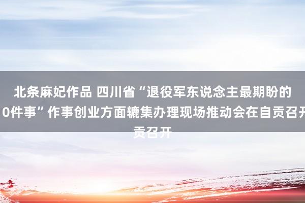 北条麻妃作品 四川省“退役军东说念主最期盼的10件事”作事创业方面辘集办理现场推动会在自贡召开