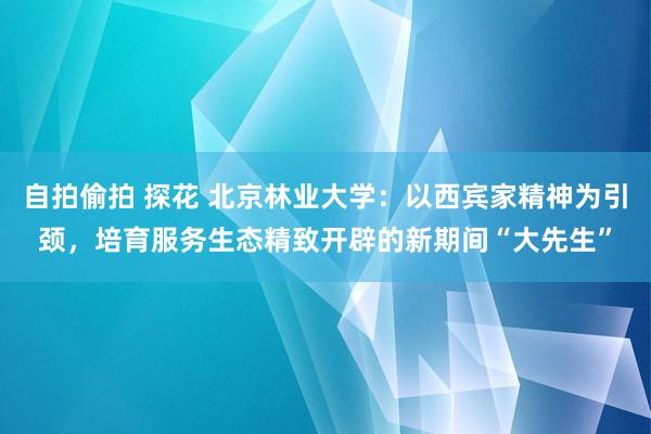 自拍偷拍 探花 北京林业大学：以西宾家精神为引颈，培育服务生态精致开辟的新期间“大先生”