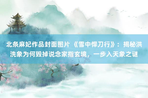 北条麻妃作品封面图片 《雪中悍刀行》：揭秘洪洗象为何毁掉说念家指玄境，一步入天象之谜