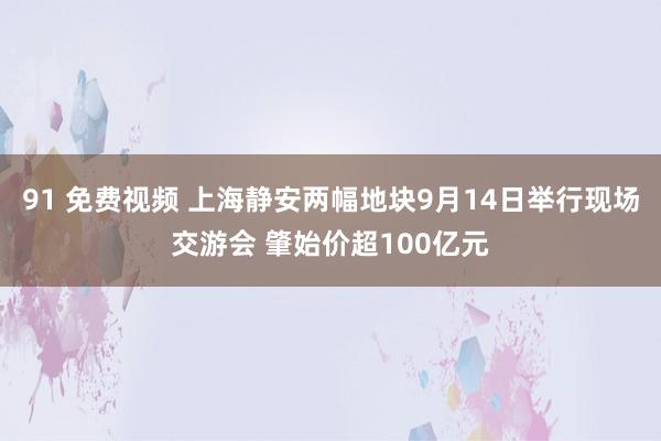 91 免费视频 上海静安两幅地块9月14日举行现场交游会 肇始价超100亿元