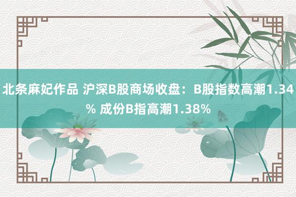 北条麻妃作品 沪深B股商场收盘：B股指数高潮1.34% 成份B指高潮1.38%