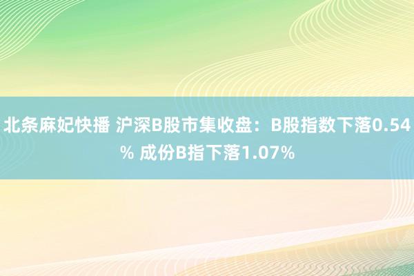 北条麻妃快播 沪深B股市集收盘：B股指数下落0.54% 成份B指下落1.07%