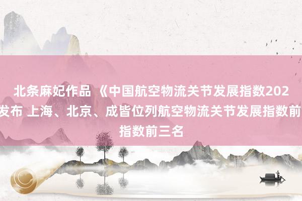 北条麻妃作品 《中国航空物流关节发展指数2024》发布 上海、北京、成皆位列航空物流关节发展指数前三名