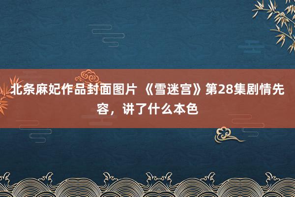 北条麻妃作品封面图片 《雪迷宫》第28集剧情先容，讲了什么本色