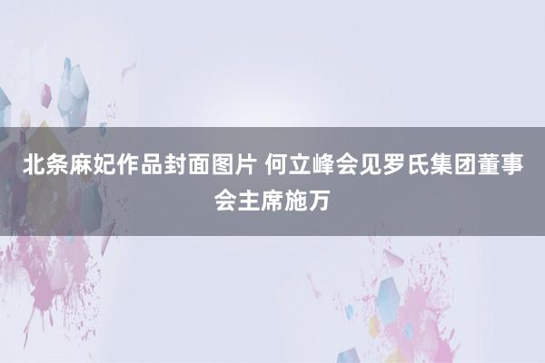 北条麻妃作品封面图片 何立峰会见罗氏集团董事会主席施万