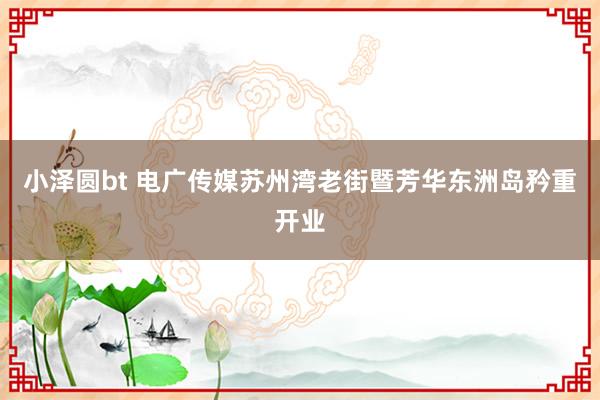 小泽圆bt 电广传媒苏州湾老街暨芳华东洲岛矜重开业