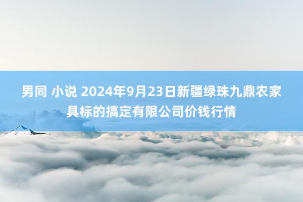 男同 小说 2024年9月23日新疆绿珠九鼎农家具标的搞定有限公司价钱行情