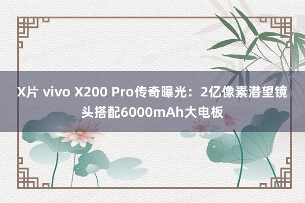 X片 vivo X200 Pro传奇曝光：2亿像素潜望镜头搭配6000mAh大电板