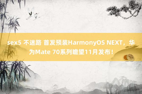 sex5 不迷路 首发预装HarmonyOS NEXT，华为Mate 70系列瞻望11月发布！