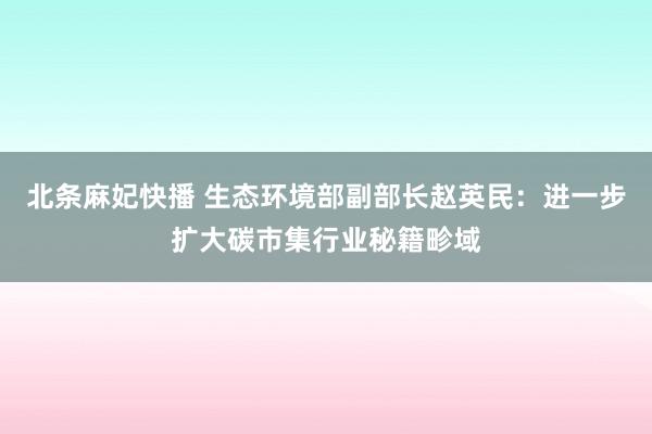 北条麻妃快播 生态环境部副部长赵英民：进一步扩大碳市集行业秘籍畛域