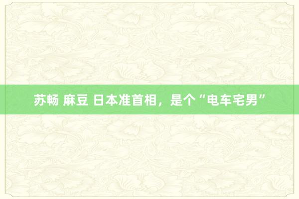 苏畅 麻豆 日本准首相，是个“电车宅男”