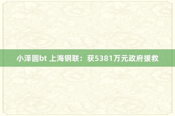 小泽圆bt 上海钢联：获5381万元政府援救