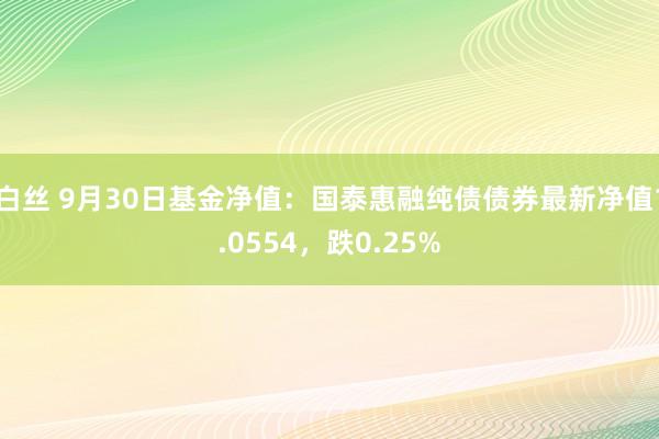 白丝 9月30日基金净值：国泰惠融纯债债券最新净值1.0554，跌0.25%