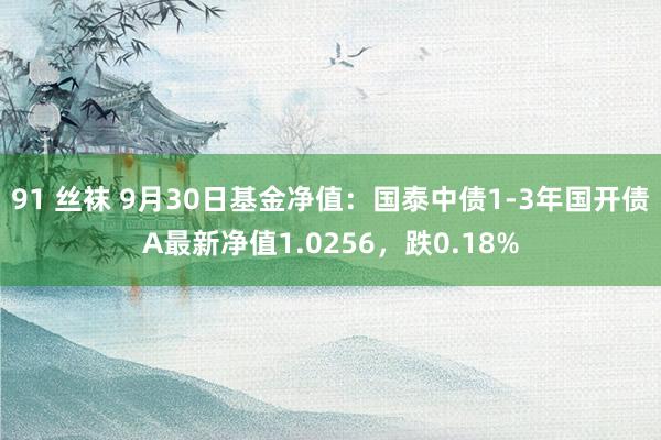 91 丝袜 9月30日基金净值：国泰中债1-3年国开债A最新净值1.0256，跌0.18%