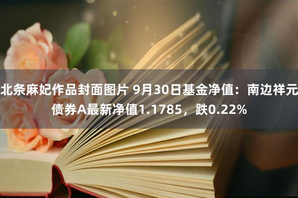 北条麻妃作品封面图片 9月30日基金净值：南边祥元债券A最新净值1.1785，跌0.22%