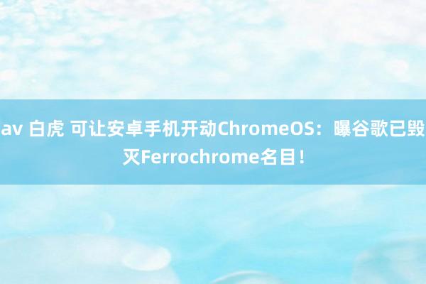 av 白虎 可让安卓手机开动ChromeOS：曝谷歌已毁灭Ferrochrome名目！