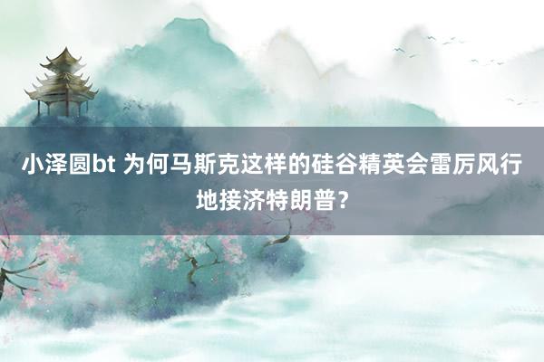 小泽圆bt 为何马斯克这样的硅谷精英会雷厉风行地接济特朗普？