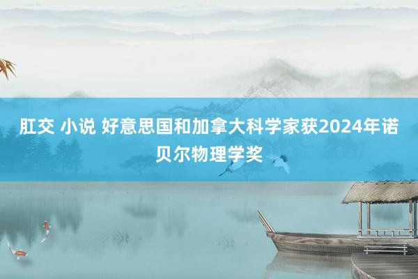 肛交 小说 好意思国和加拿大科学家获2024年诺贝尔物理学奖