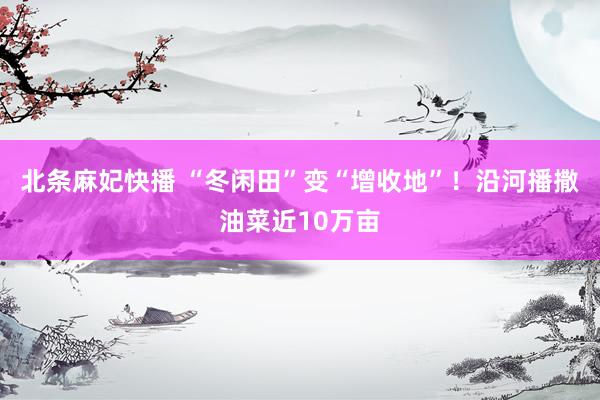 北条麻妃快播 “冬闲田”变“增收地”！沿河播撒油菜近10万亩