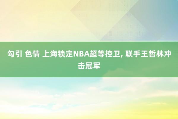 勾引 色情 上海锁定NBA超等控卫, 联手王哲林冲击冠军