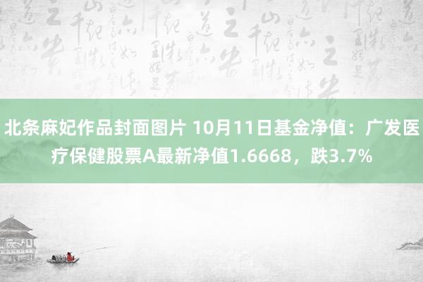 北条麻妃作品封面图片 10月11日基金净值：广发医疗保健股票A最新净值1.6668，跌3.7%