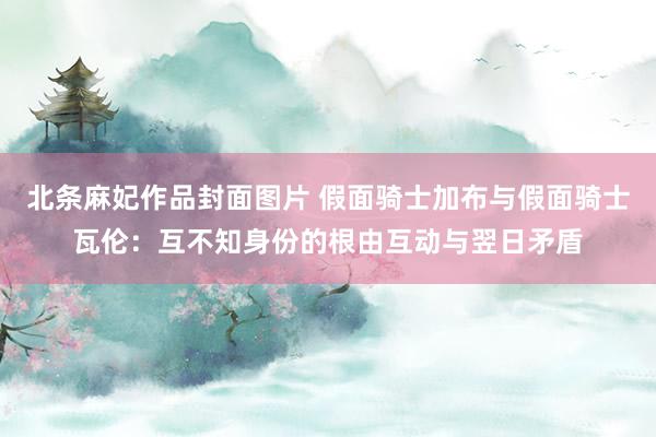 北条麻妃作品封面图片 假面骑士加布与假面骑士瓦伦：互不知身份的根由互动与翌日矛盾