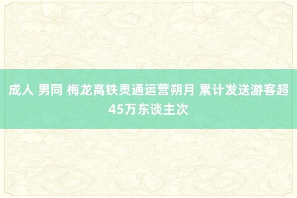 成人 男同 梅龙高铁灵通运营朔月 累计发送游客超45万东谈主次