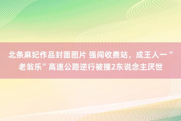 北条麻妃作品封面图片 强闯收费站，成王人一“老翁乐”高速公路逆行被撞2东说念主厌世