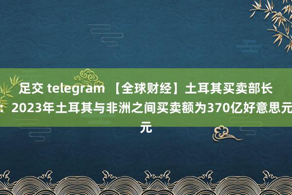 足交 telegram 【全球财经】土耳其买卖部长：2023年土耳其与非洲之间买卖额为370亿好意思元