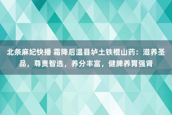 北条麻妃快播 霜降后温县垆土铁棍山药：滋养圣品，尊贵智选，养分丰富，健脾养胃强肾