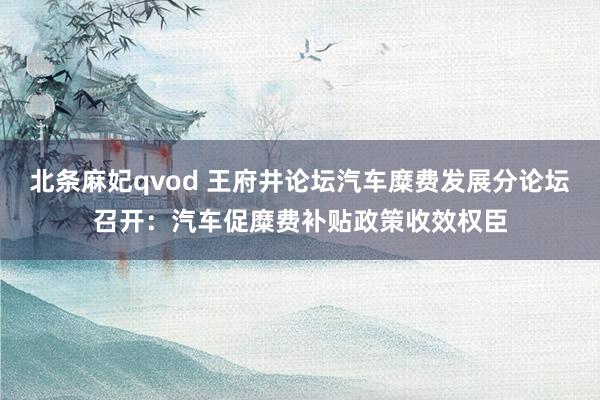 北条麻妃qvod 王府井论坛汽车糜费发展分论坛召开：汽车促糜费补贴政策收效权臣