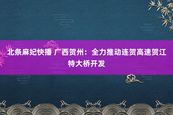 北条麻妃快播 广西贺州：全力推动连贺高速贺江特大桥开发