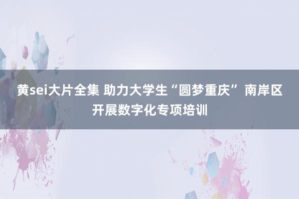 黄sei大片全集 助力大学生“圆梦重庆” 南岸区开展数字化专项培训