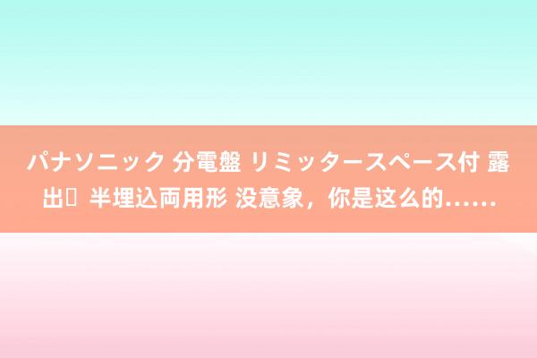 パナソニック 分電盤 リミッタースペース付 露出・半埋込両用形 没意象，你是这么的……