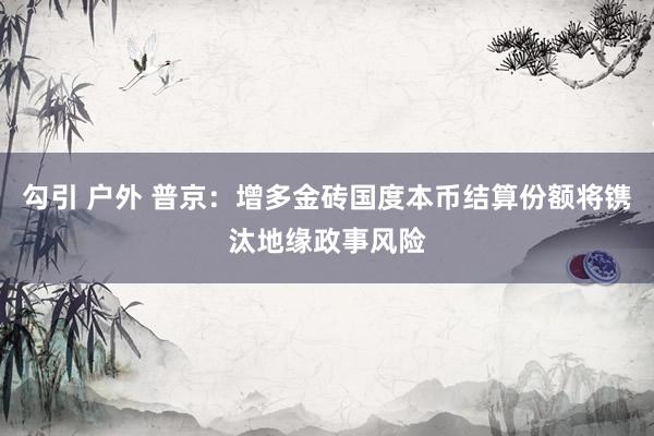 勾引 户外 普京：增多金砖国度本币结算份额将镌汰地缘政事风险