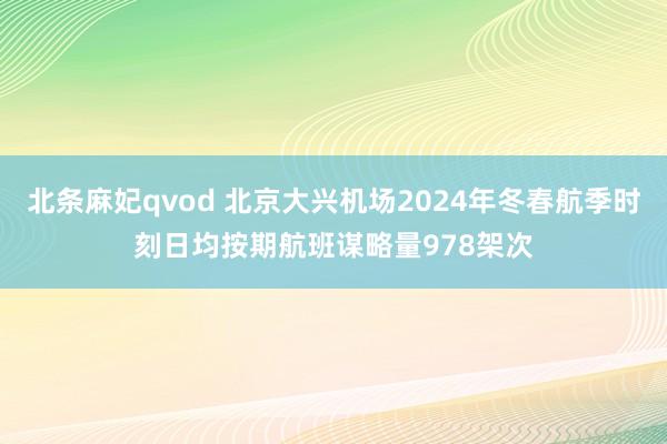 北条麻妃qvod 北京大兴机场2024年冬春航季时刻日均按期航班谋略量978架次