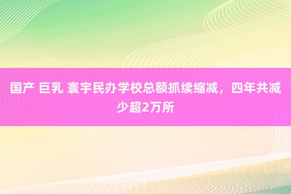 国产 巨乳 寰宇民办学校总额抓续缩减，四年共减少超2万所