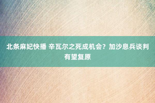 北条麻妃快播 辛瓦尔之死成机会？加沙息兵谈判有望复原