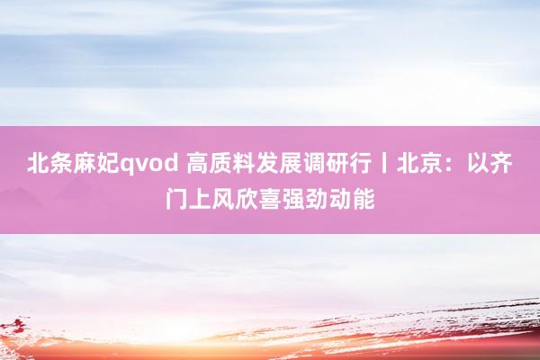 北条麻妃qvod 高质料发展调研行丨北京：以齐门上风欣喜强劲动能