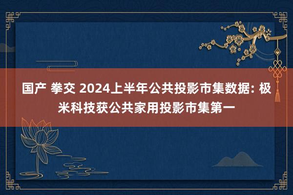 国产 拳交 2024上半年公共投影市集数据: 极米科技获公共家用投影市集第一