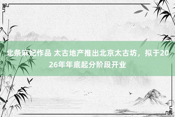 北条麻妃作品 太古地产推出北京太古坊，拟于2026年年底起分阶段开业