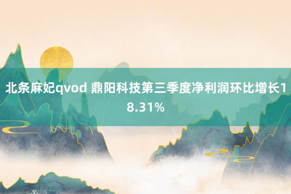 北条麻妃qvod 鼎阳科技第三季度净利润环比增长18.31%