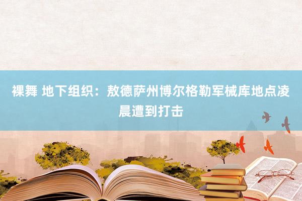 裸舞 地下组织：敖德萨州博尔格勒军械库地点凌晨遭到打击