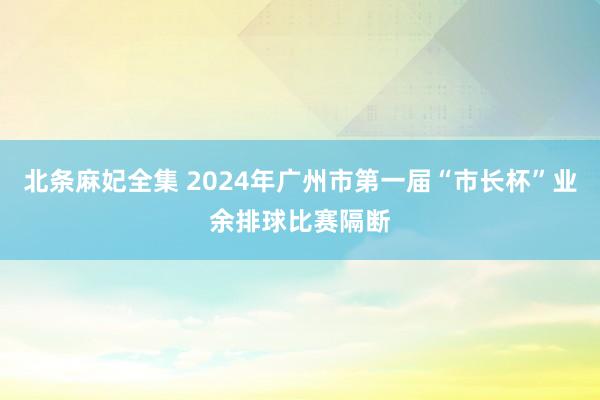 北条麻妃全集 2024年广州市第一届“市长杯”业余排球比赛隔断