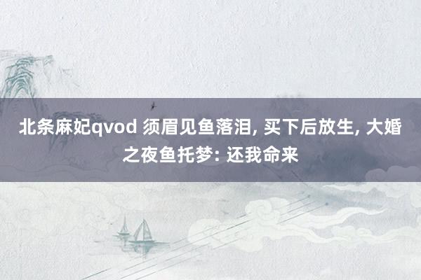 北条麻妃qvod 须眉见鱼落泪， 买下后放生， 大婚之夜鱼托梦: 还我命来