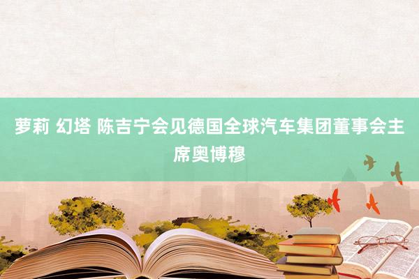 萝莉 幻塔 陈吉宁会见德国全球汽车集团董事会主席奥博穆