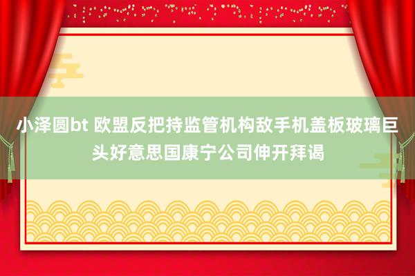 小泽圆bt 欧盟反把持监管机构敌手机盖板玻璃巨头好意思国康宁公司伸开拜谒