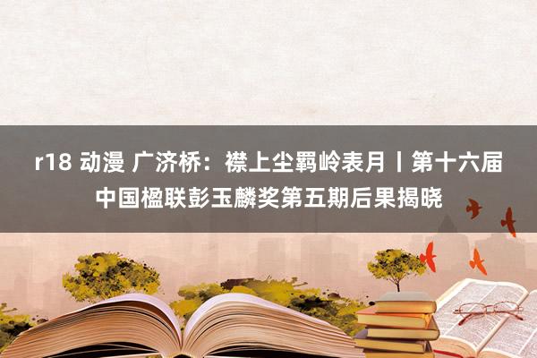 r18 动漫 广济桥：襟上尘羁岭表月丨第十六届中国楹联彭玉麟奖第五期后果揭晓